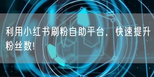 利用小红书刷粉自助平台,快速提升粉丝数!