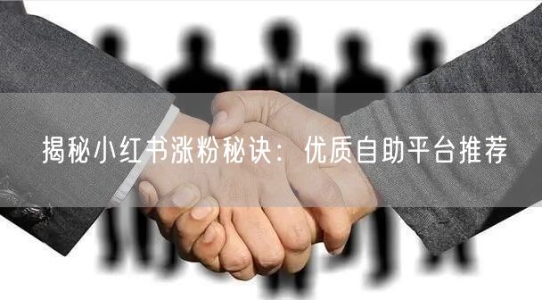 揭秘小红书涨粉秘诀:优质自助平台推荐