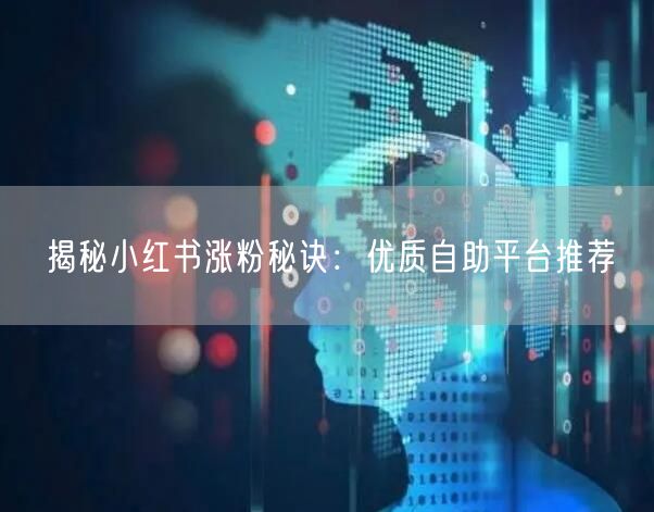 揭秘小红书涨粉秘诀:优质自助平台推荐