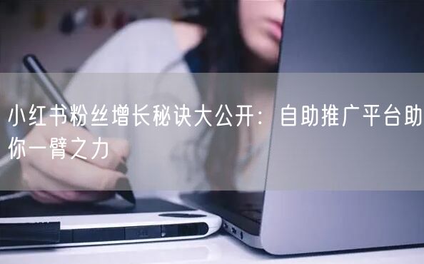 小红书粉丝增长秘诀大公开:自助推广平台助你一臂之力