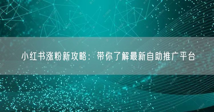 小红书涨粉新攻略：带你了解最新自助推广平台