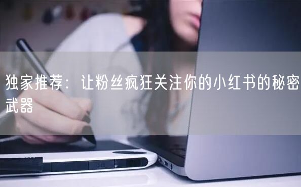 独家推荐:让粉丝疯狂关注你的小红书的秘密武器