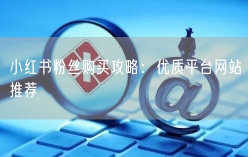 小红书粉丝购买攻略:优质平台网站推荐