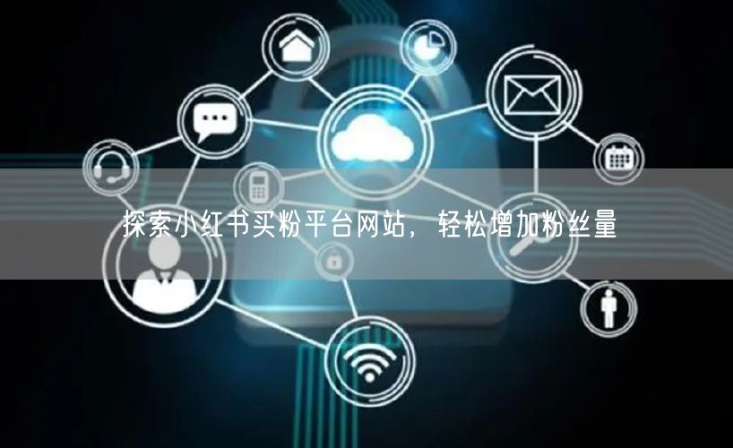 探索小红书买粉平台网站,轻松增加粉丝量