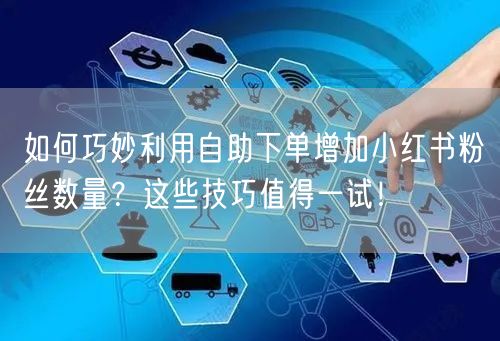 如何巧妙利用自助下单增加小红书粉丝数量?这些技巧值得一试!