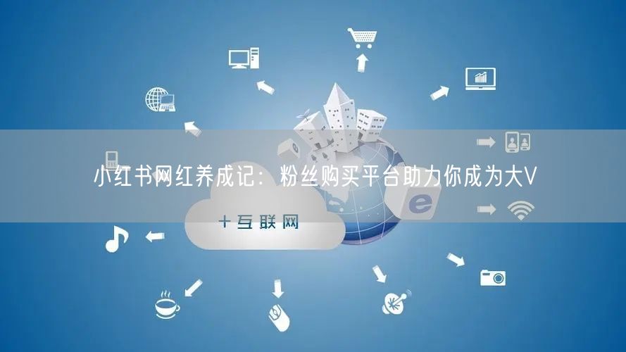 小红书网红养成记:粉丝购买平台助力你成为大V