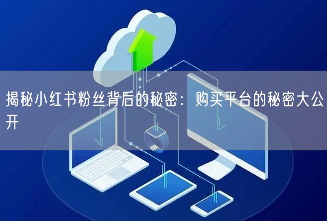 揭秘小红书粉丝背后的秘密:购买平台的秘密大公开