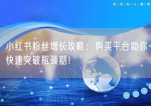 小红书粉丝增长攻略:购买平台助你快速突破瓶颈期!