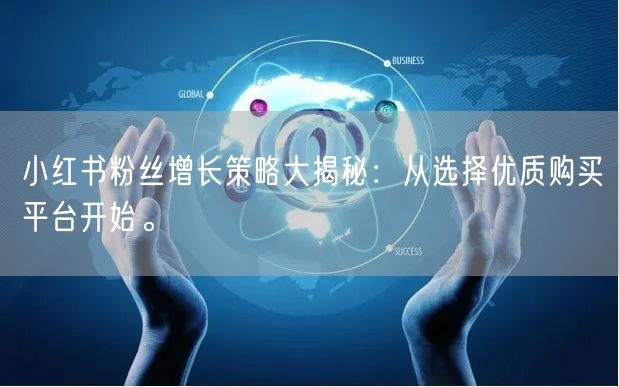 小红书粉丝增长策略大揭秘:从选择优质购买平台开始。